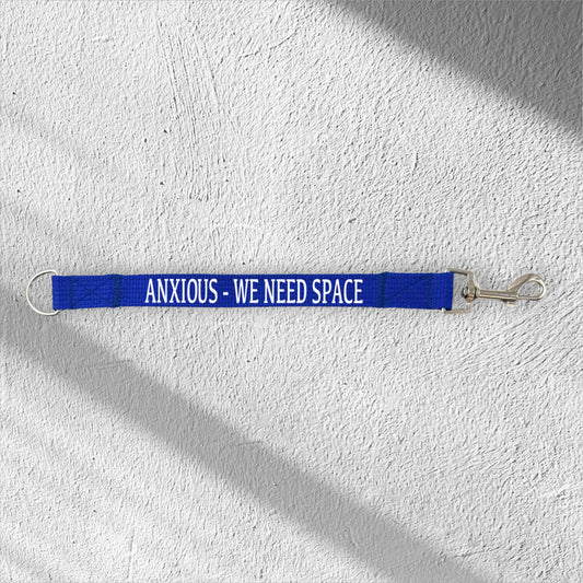 Personalised Lead Extender (BLUE)