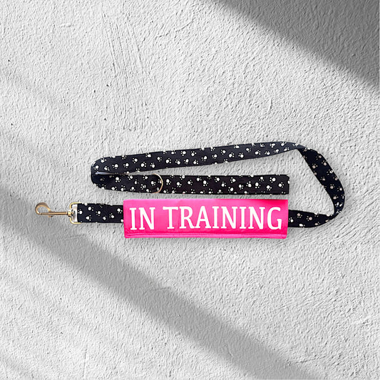 Lead Sleeve (Pink)