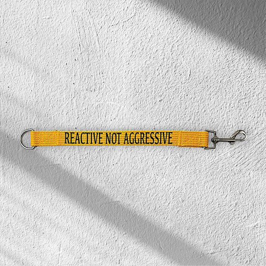 Personalised Lead Extender (YELLOW)